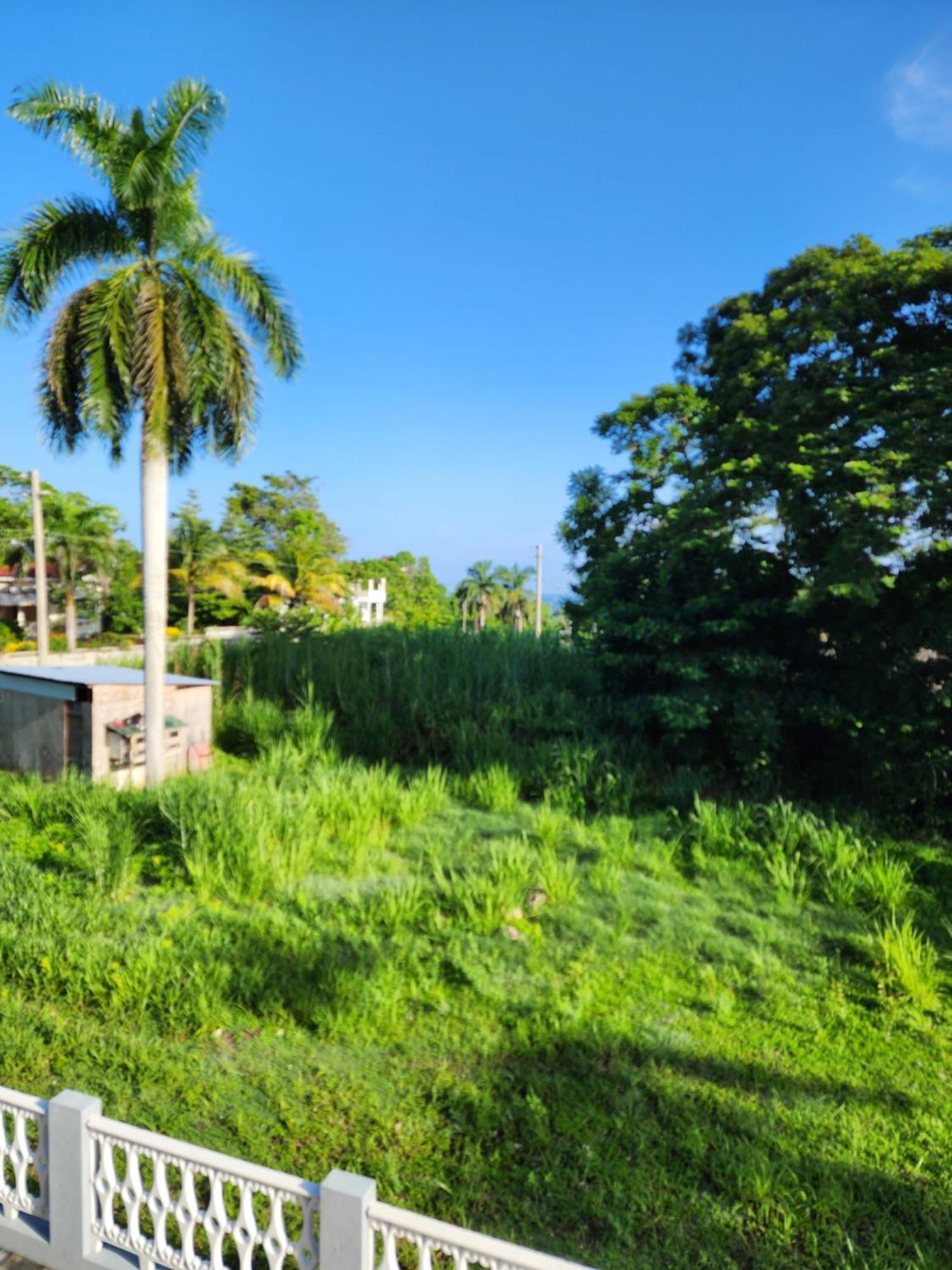 Paradise Nestled Between Montego Bay And Negril Hopewell Exteriör bild